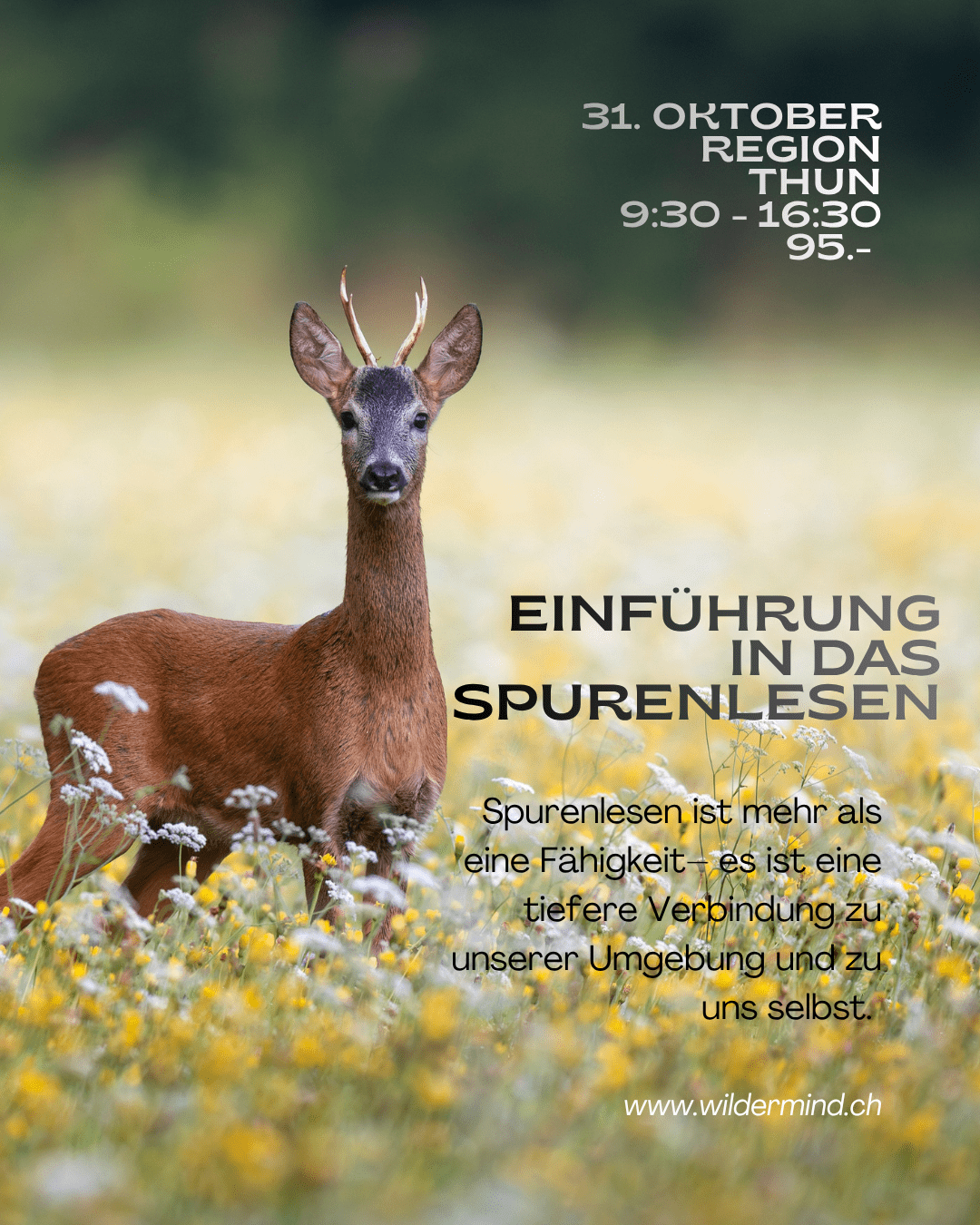 Flyer Einführung in das Spurenlesen 31. Oktober 26