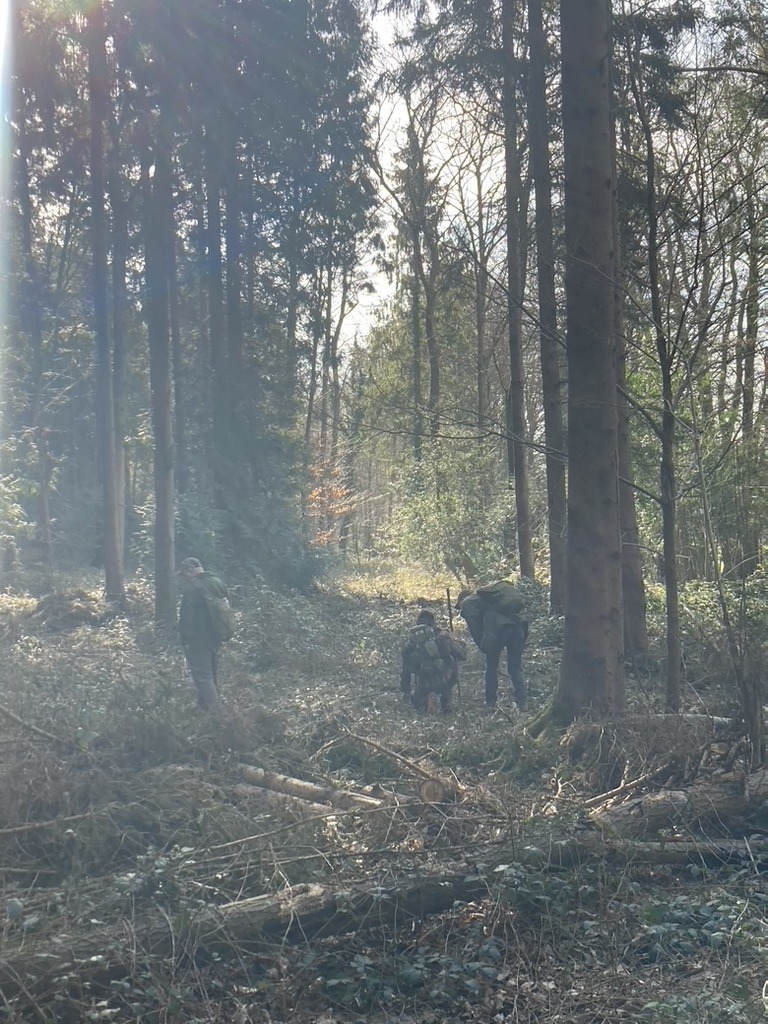 alt="Teilnehmer bei einer CyberTracker Evaluierung im Wald beim Bestimmen von Trittsiegeln"