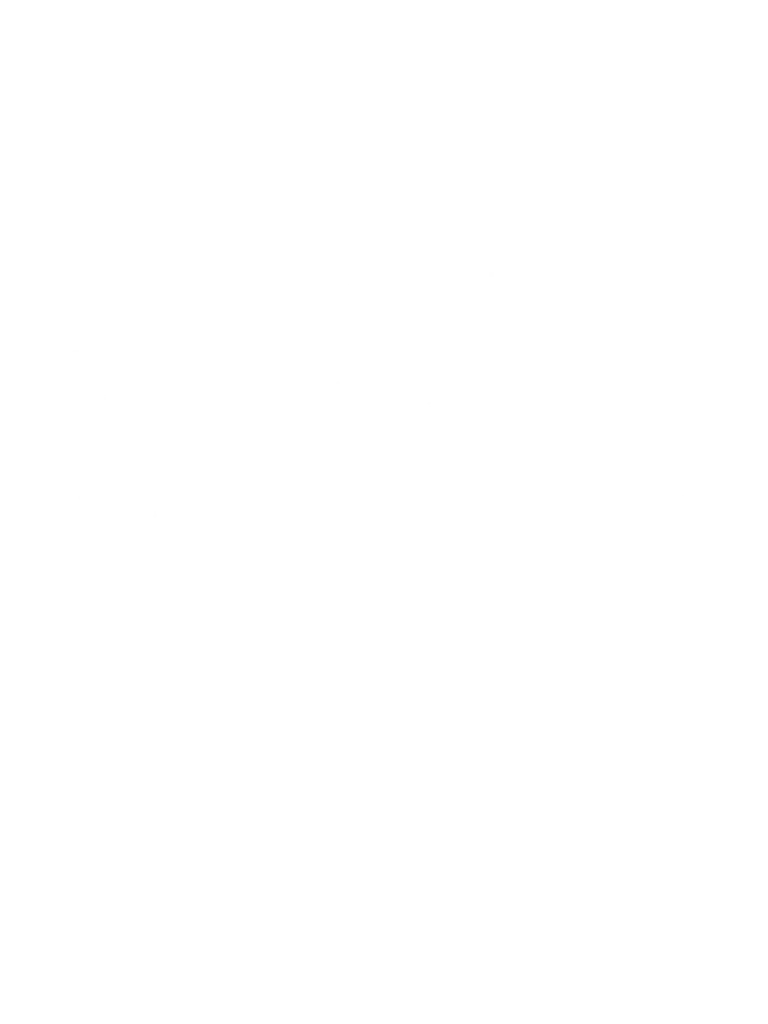 Detailskizze eine Gänsesäger Trittsiegels.